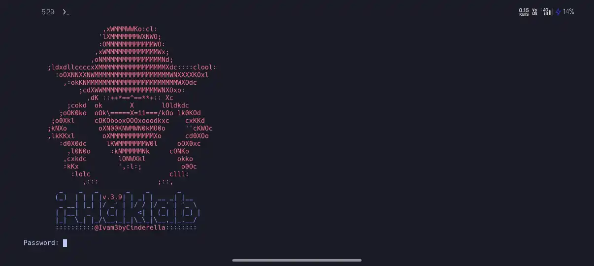 Setting Password In Hacking Lab