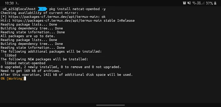 Screenshot_20250704-103002_Termux (1) Install Netcat In Termux
